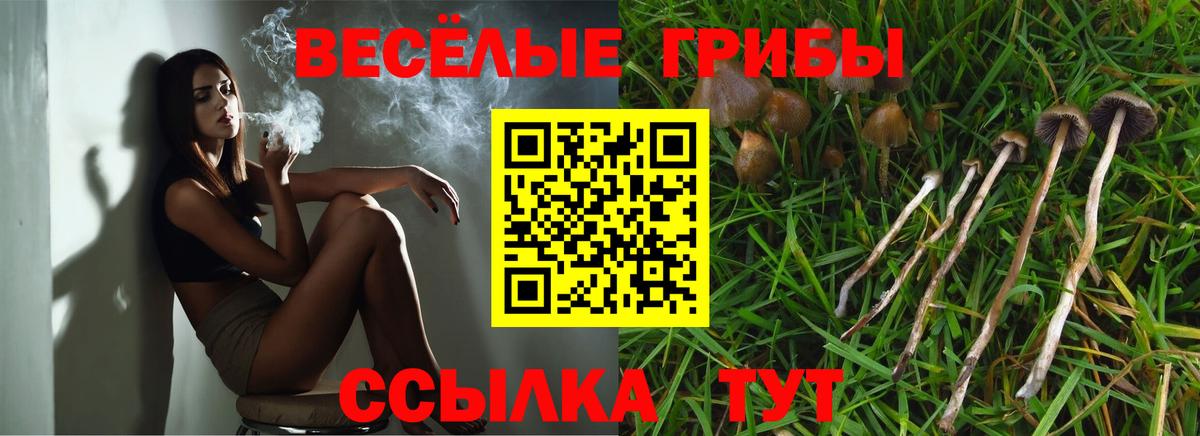 Ржев  Псилоцибиновые грибы мухоморы  Вход с VPN 
