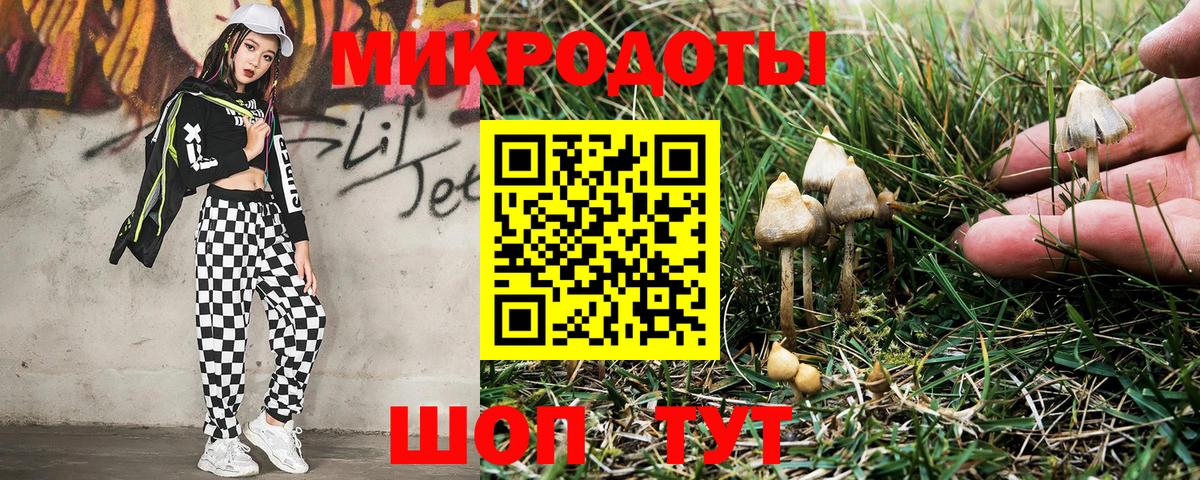 Псилоцибиновые грибы Magic Shrooms Ржев